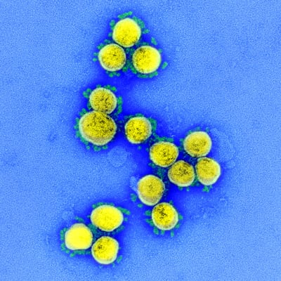 Yes, Coronavirus is Mutating but You don’t Need to Panic