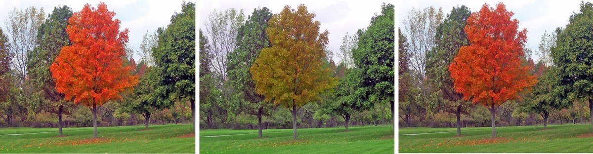 Do You have Color Blindness? No Worry! Contact Lens Based on Metasurface is on its way