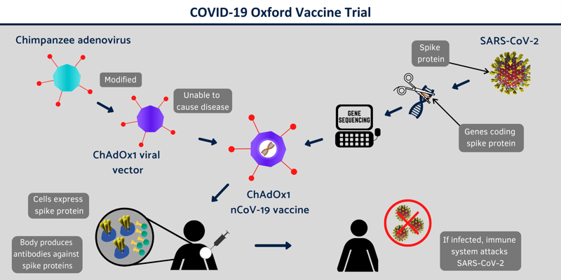 Phase II/III of COVID-19 Vaccine is About to Begin at Oxford COVID-19 Vaccine Centre