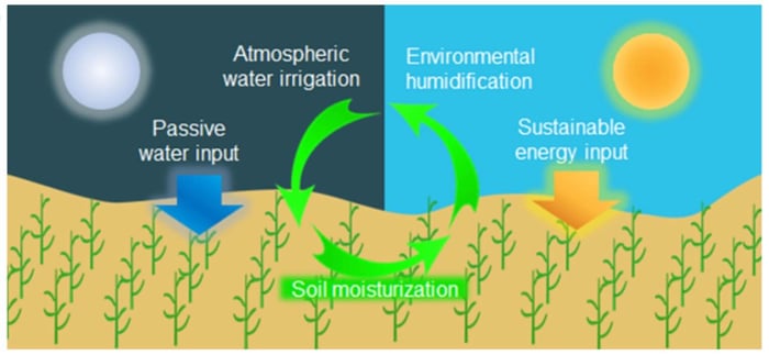 Researcher Designed a New Type of Soil that can Harvest Water from the Air and Distribute it to Plants