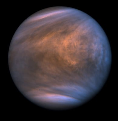 Challenges on Life on Venus
