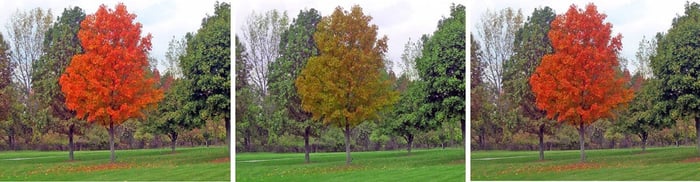 Do You have Color Blindness? No Worry! Contact Lens Based on Metasurface is on its way