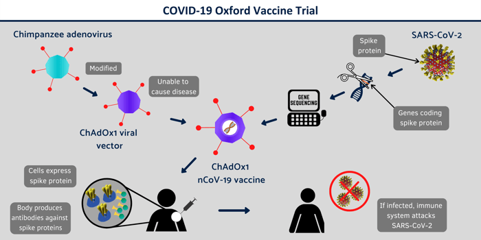 Phase II/III of COVID-19 Vaccine is About to Begin at Oxford COVID-19 Vaccine Centre